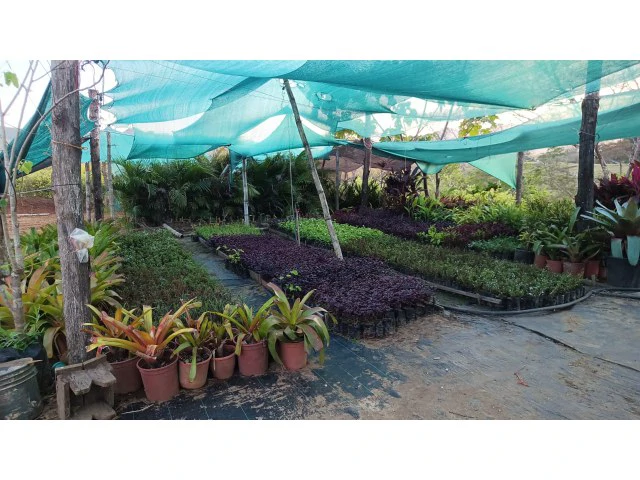 Exclusive lot for sale in Hojancha's green, tropical, rolling mountains, just 3 minutes from town - Gallery image 6