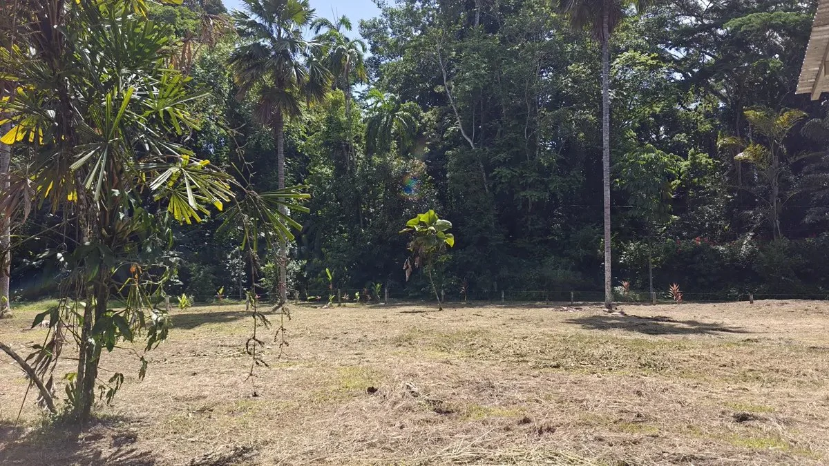 ID 949: 1,547 sqm Build-Ready Lot Near Cahuita and Playa Grande - Gallery image 2