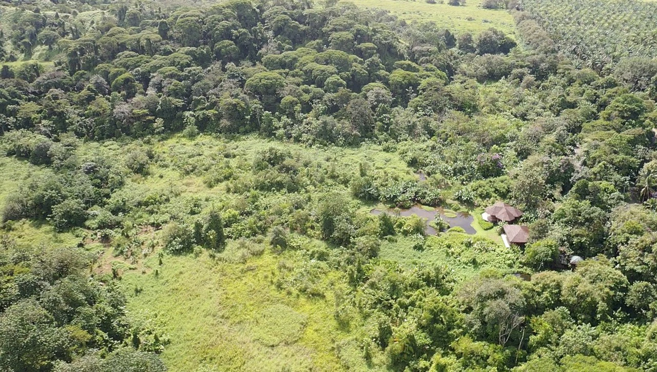 60 Acre Fully Sustainable and Impactful Conservation Initiative Near Golfito: Mountain Multi Unit Building For Sale in Golfito - Gallery image 17