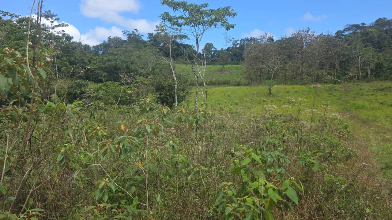 Expansive Year-Round Green Agricultural Property with Rolling Hills and a River – One Hour from Liberia - Gallery image 9