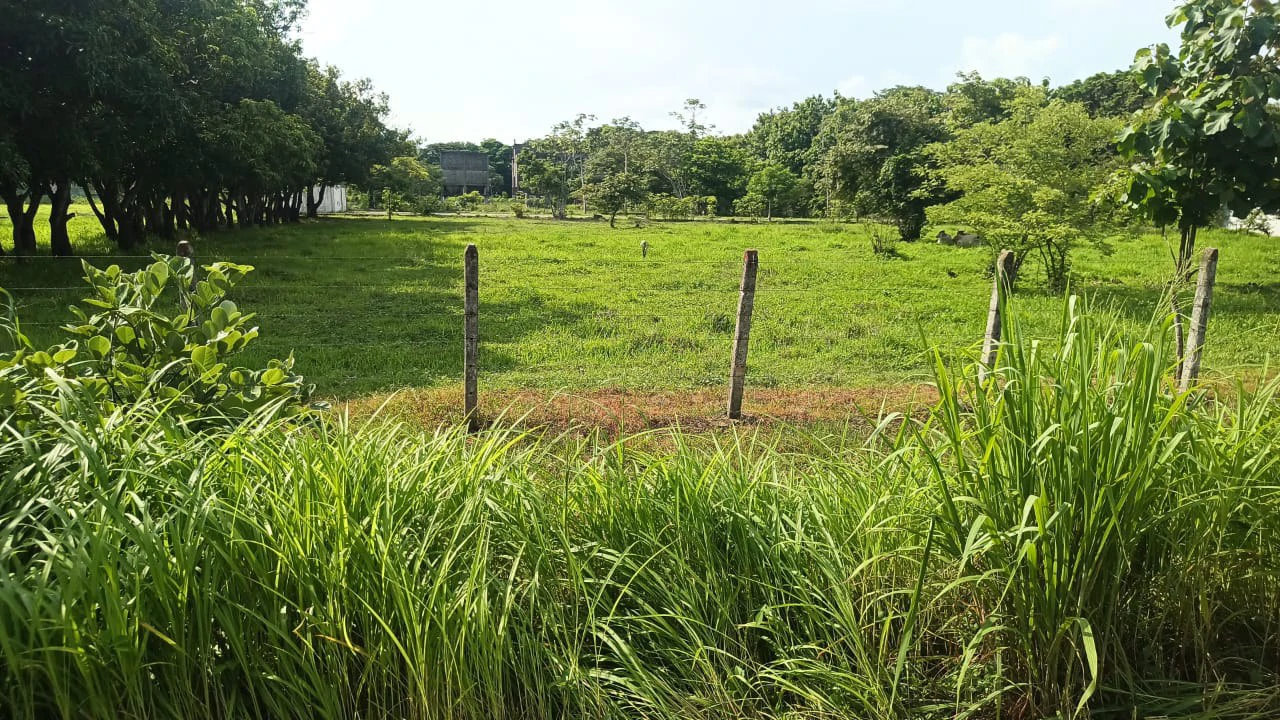 Industrial Property Complex for Sale – Prime Location on Route #21, Just 5 Minutes from Liberia International Airport - Gallery image 16