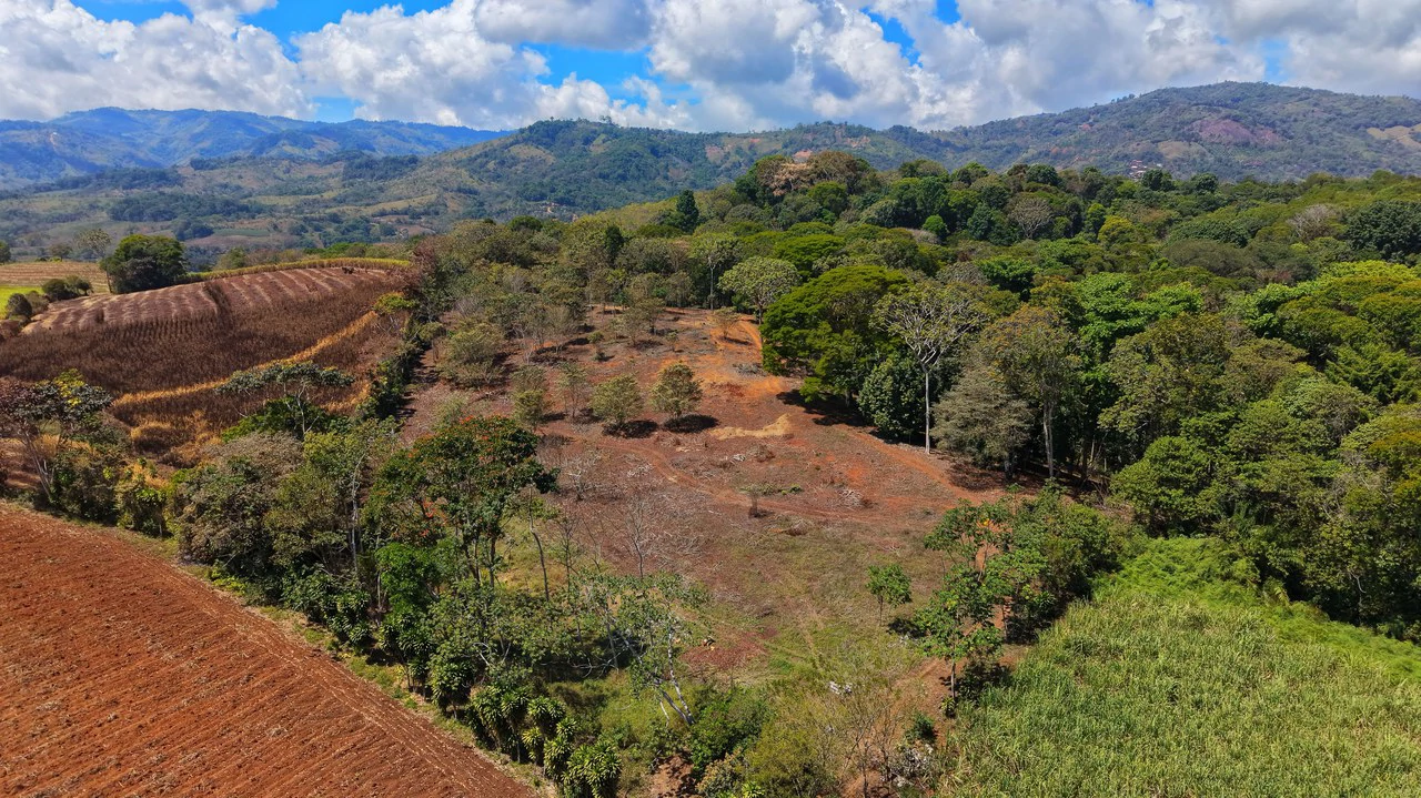 Agricultural Land For Sale in Daniel Flores - Gallery image 9