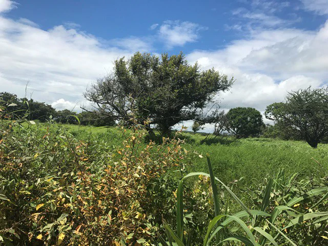 Large Development Land for Sale in Liberia, Guanacaste, Costa Rica - Gallery image 26