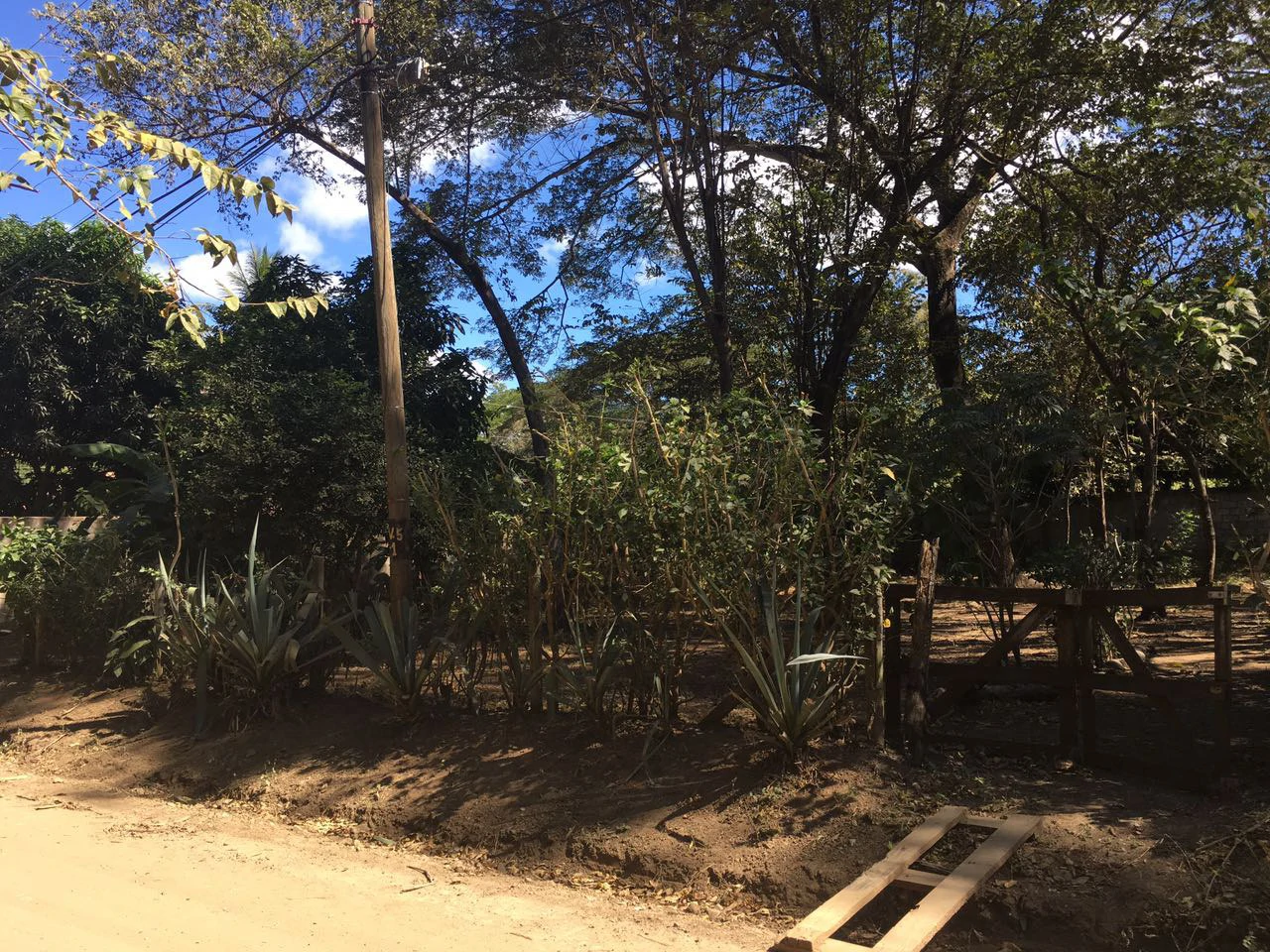 Lot K-24: Surfside lot Near the Beach! - Gallery image 8