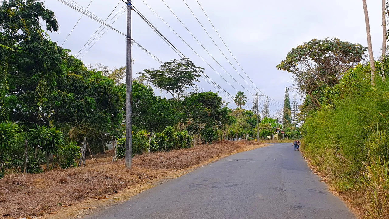 FRUIT TREE PROPERTY FOR SALE: Home Construction Site For Sale in San Isidro del General - Gallery image 7
