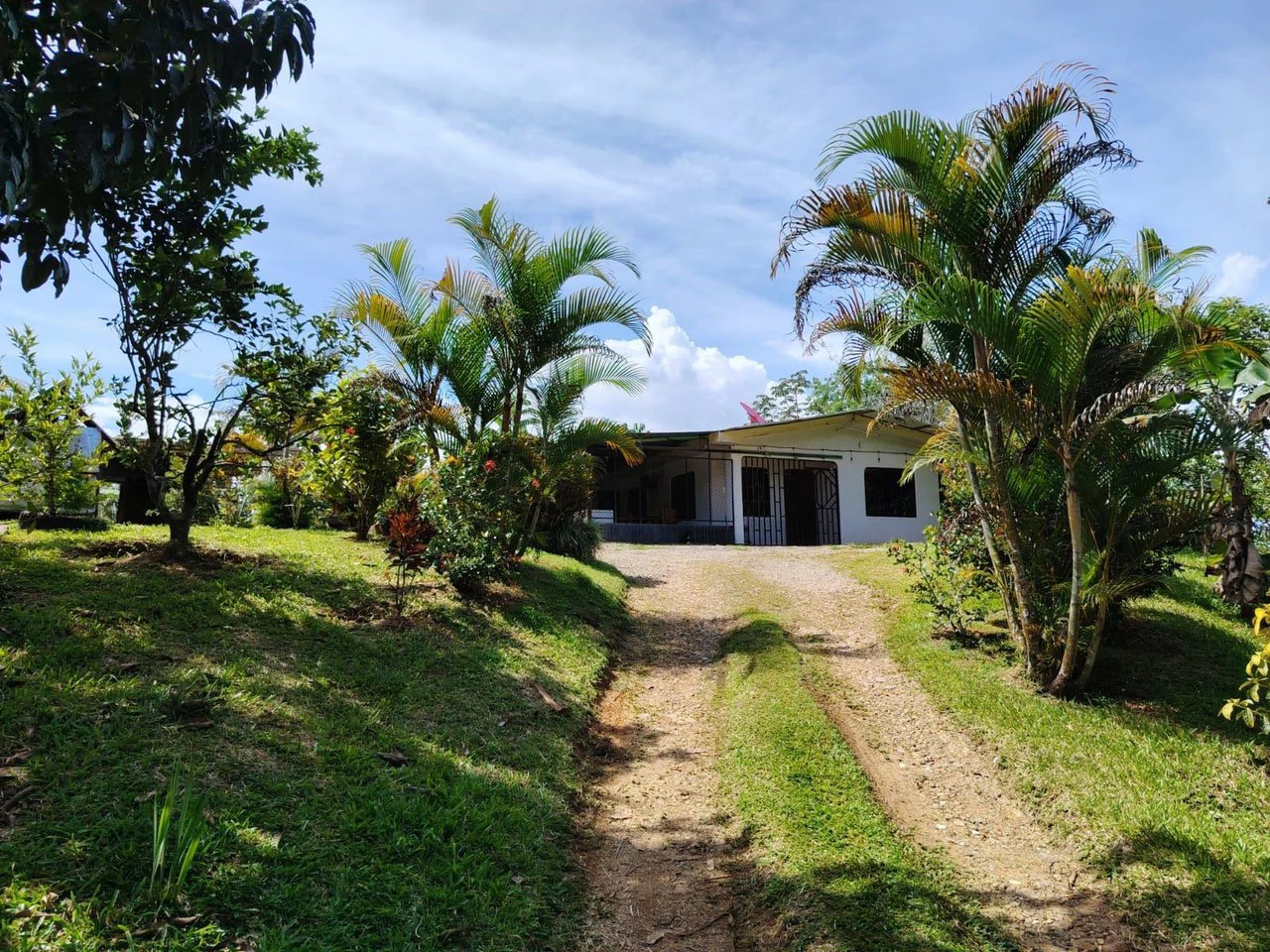 SE VENDE CASA EN SAN JUAN BOSCO, PEREZ ZELEDON.: Mountain House For Sale in Daniel Flores