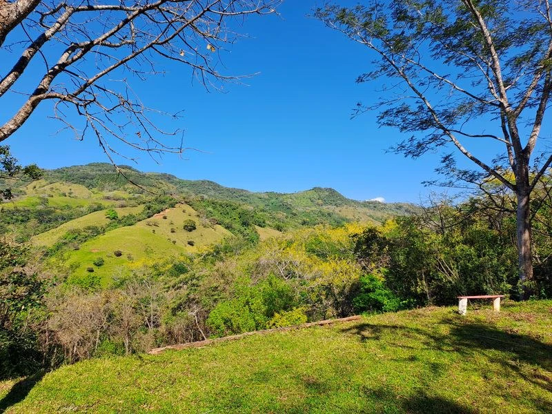 Lotes Mirador: Lotes Mirador, Breathtaking Lots with Stunning Ocean and Mountain Views, Large Building Pads, just 30 minutes from Samara Beach - Gallery image 6