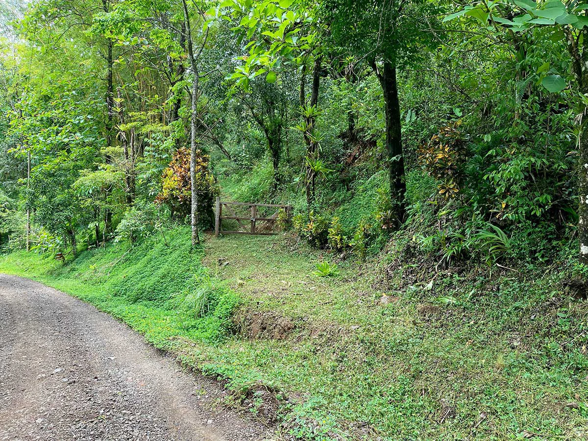 ID 4167: Investment Opportunity: 8-Acre Reforested Mountain Finca in Puriscal - Gallery image 22