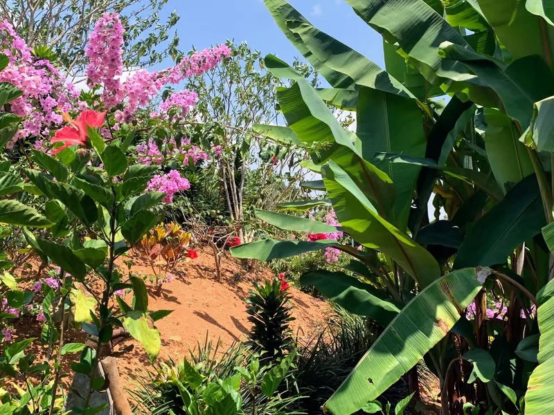 One-Bedroom with a Valley View!: Mountain House For Sale in San Rafael Norte - Gallery image 18