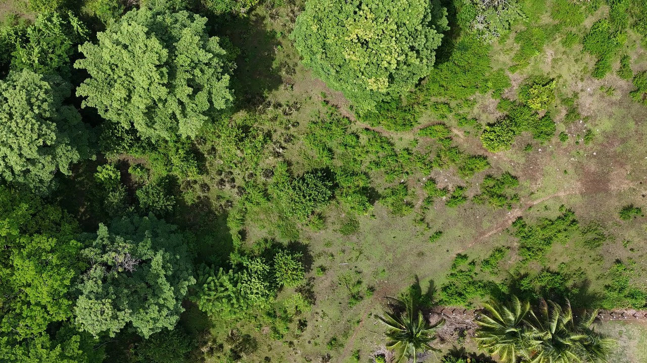 Walk to the beach, Developement Land, Mini Ranch, Central Uvita - Gallery image 6