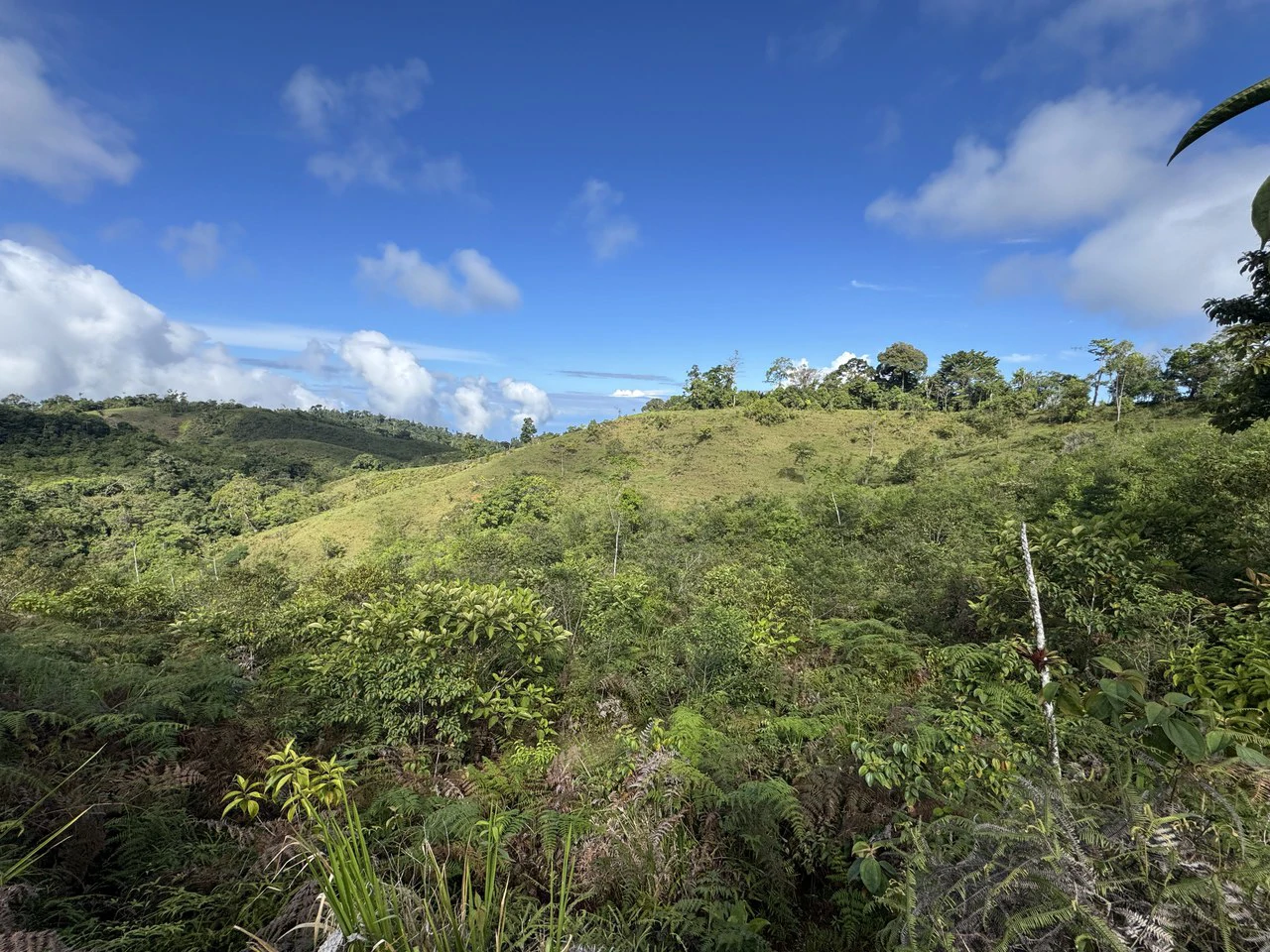 47 Acre Off Grid Ranch with Ocean & Mountain Views San Lorenzo Perez Zeledón - Gallery image 25