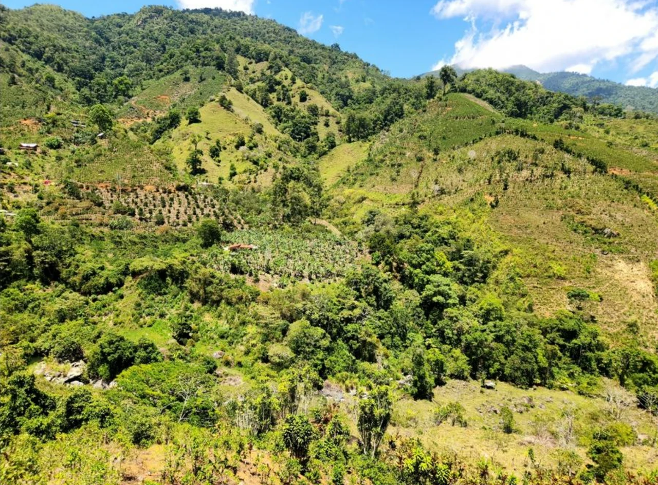 Modern Country House with Guest Cottage Amidst a Coffee Plantation in Perez Zeledon, Costa Rica - Gallery image 45