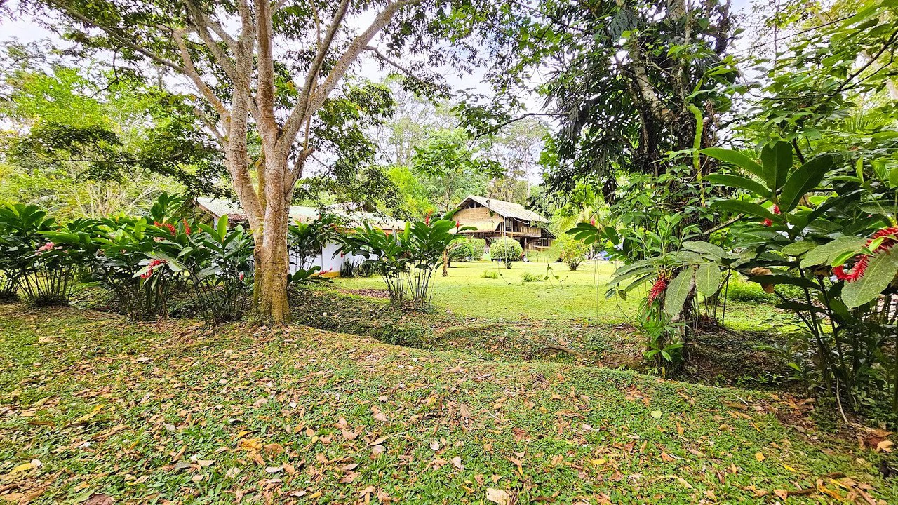 ID 4184: Four House Property near Cahuita,  3km from the Beach - Gallery image 12
