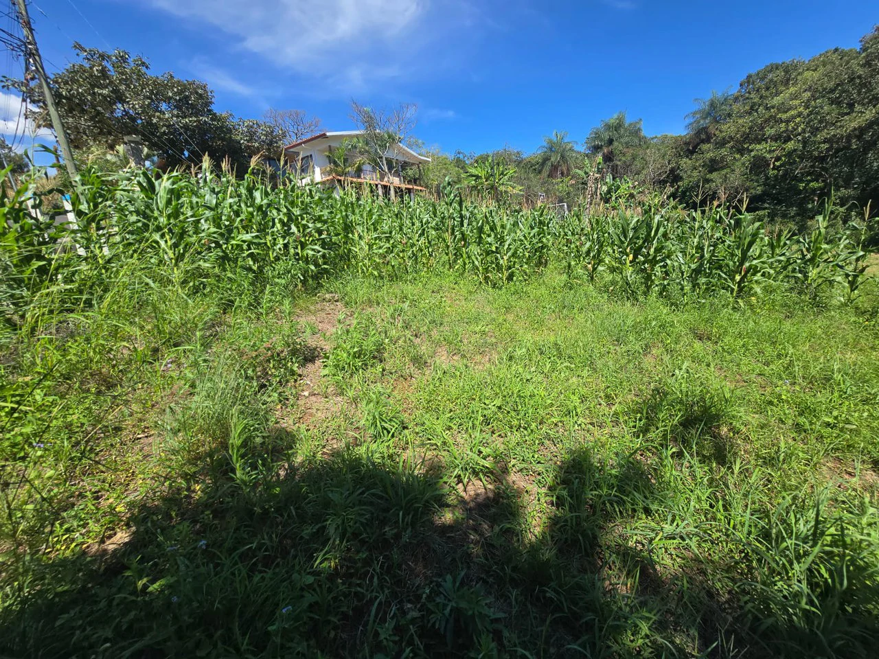 Land for sale in Tambor, Alajuela - Gallery image 17
