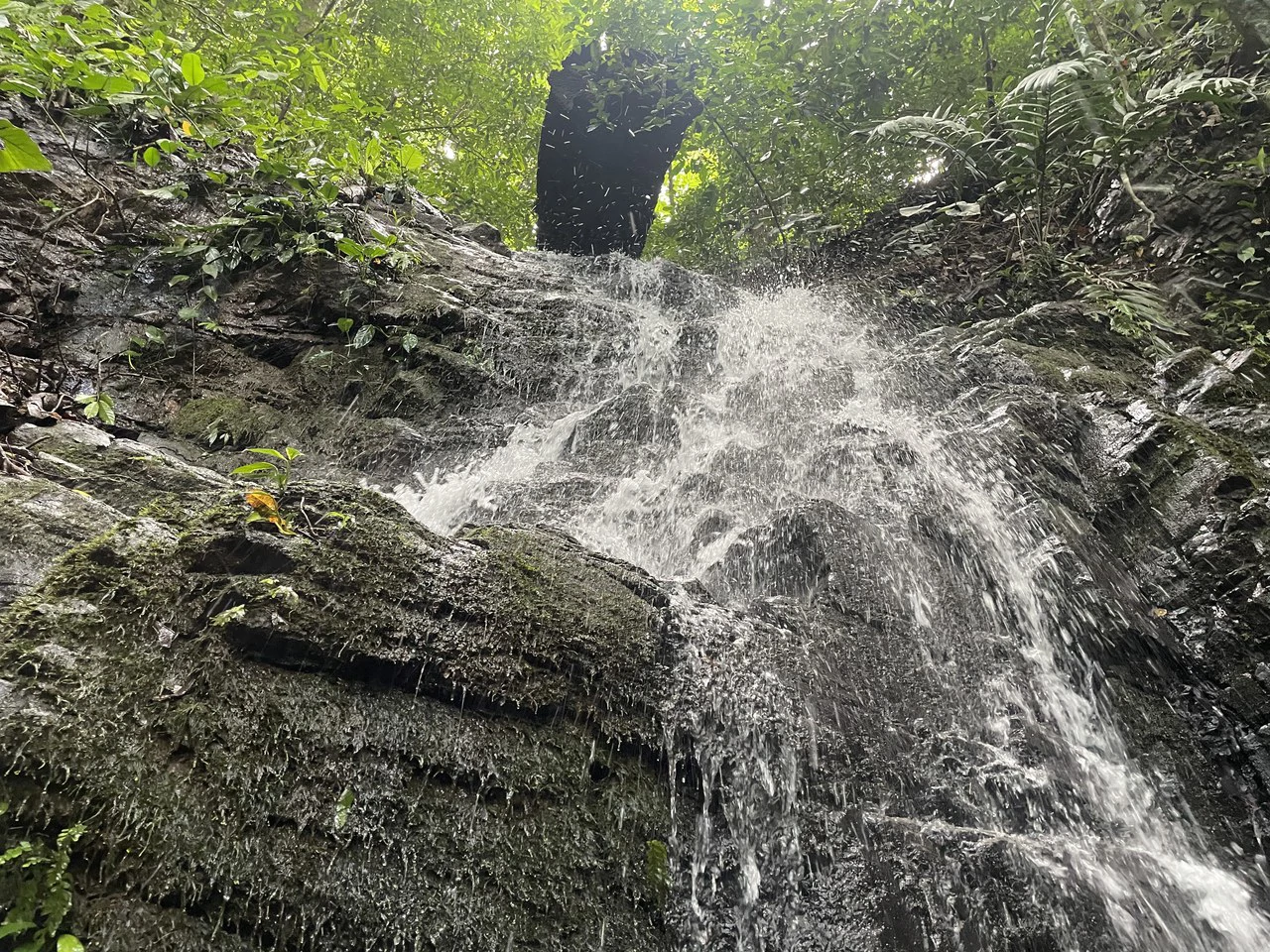 TROPICAL MASTERPIECE – 61.78 ACRES OF OCEANVIEW BLISS WITH WATERFALL: Mountain Development Parcel For Sale in Tres Rios - Gallery image 13