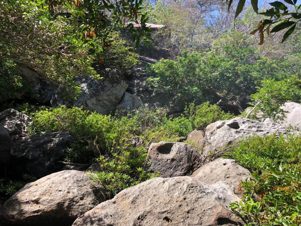 Big Farm: Property of 231 hectares in the Salto de Bagaces - Gallery image 20