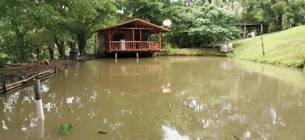 Agricultural Farm for Sale in the mountains of Hojancha, Beautiful 25-acre property with floating lake Apartment and Huge main home