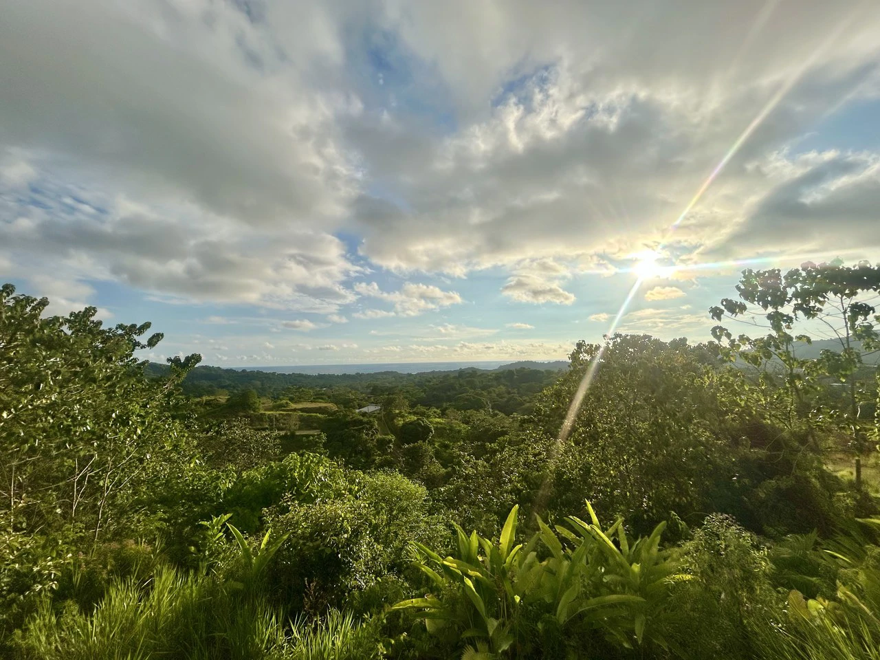 Price Reduced! Panoramic Ocean View Lot in Prestigious Phase 11 Ojochal – 2.77 Acres with Luxury 3D Home Design Included - Gallery image 33