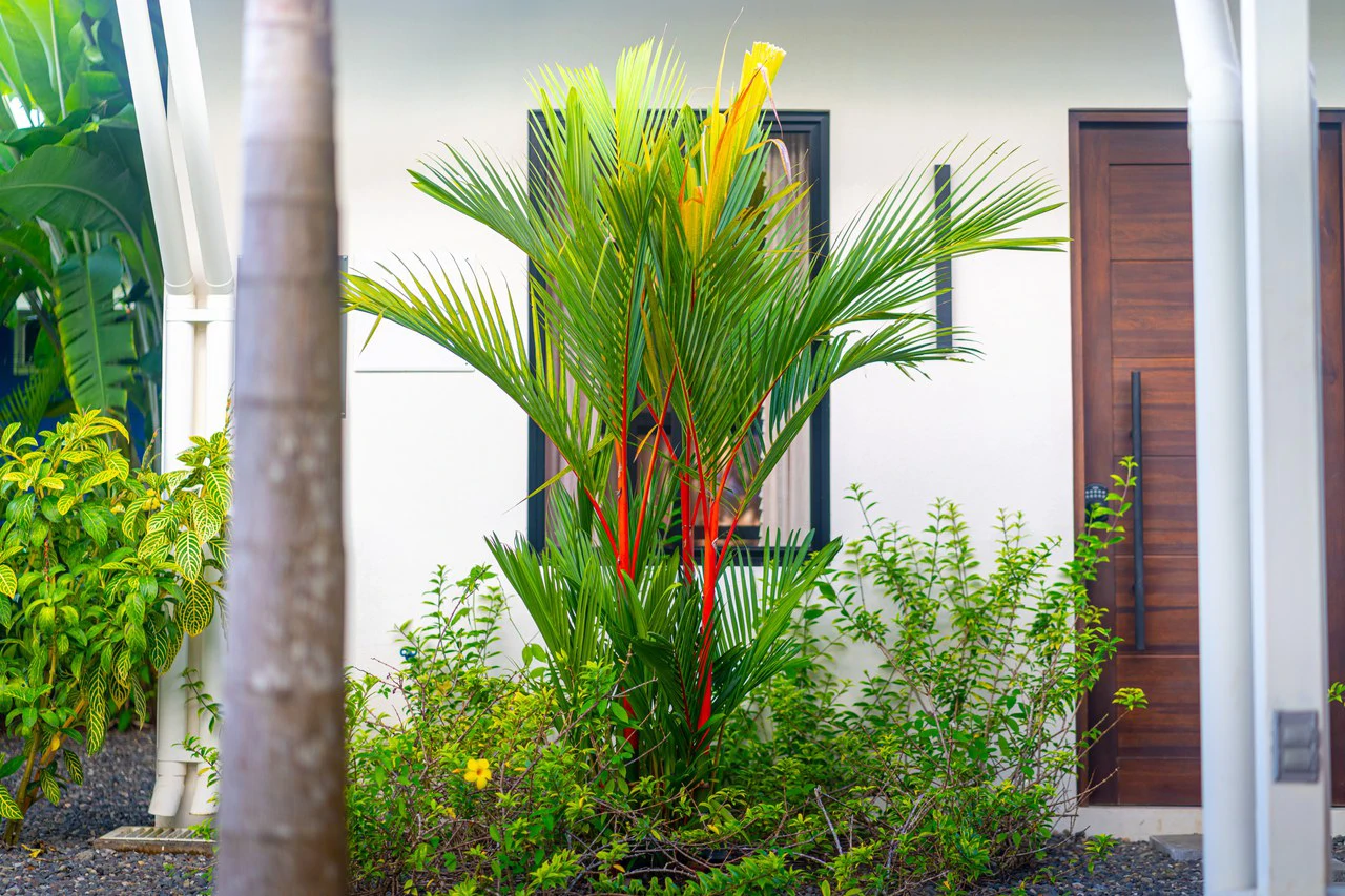 Income Ready Boutique Investment near Whale's Tail Beach - Gallery image 58