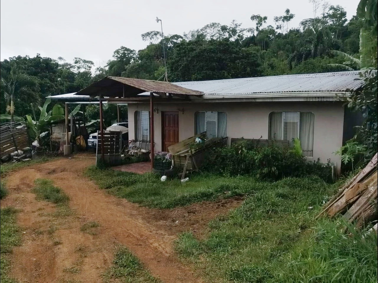 Beautiful Farm in La Guaria with Endless Opportunities! - Gallery image 2