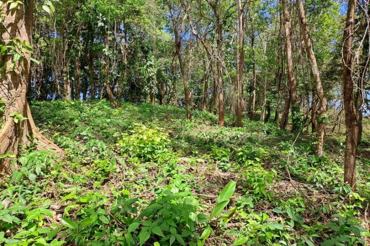 LOTES MIRADOR - 3 LOTES: Lotes Mirador, Breathtaking Lots with Stunning Ocean and Mountain Views, Large Building Pads, just 30 minutes from Samara Beach - Gallery image 7