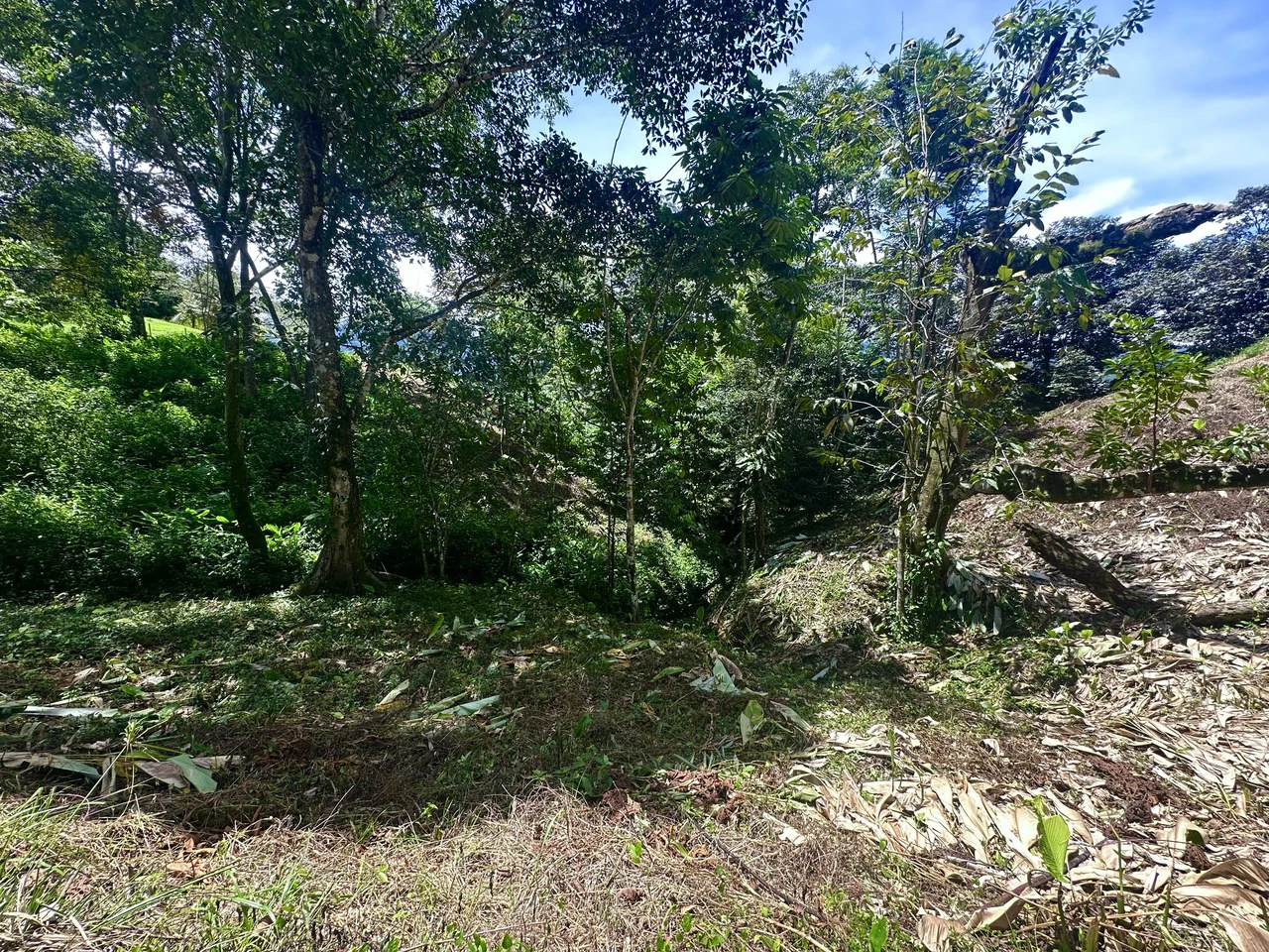Build-Ready Lot in Ojochal’s Calle Cacique | Easy Access & Stunning Mountain Views - Gallery image 6