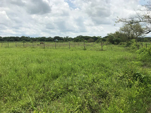 Property close to Liberia and Discovery Park - Gallery image 16
