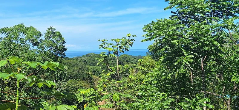 Ocean-View Retreat in Jardines de Morete, Uvita - Gallery image 24