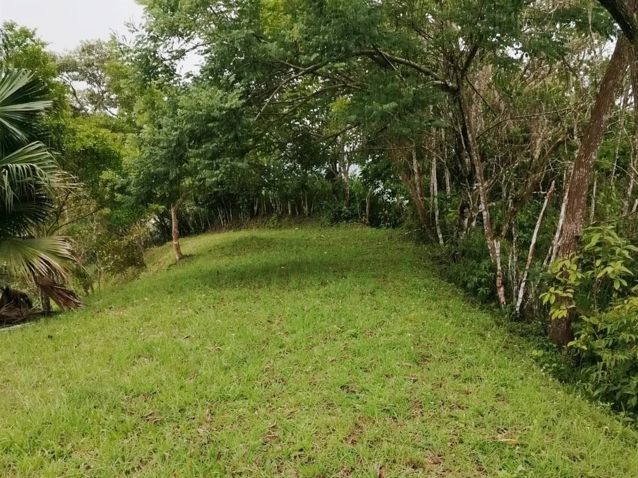 Beautiful Farm in La Guaria with Endless Opportunities! - Gallery image 3