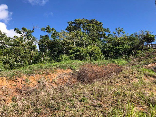 1.24 ACRES – Alto de San Juan, TOP OF THE WORLD VIEWS, Cool Breezes, Ready to Build Your Dream!!!!!: Mountain Development Parcel For Sale in Alto San Juan - Gallery image 14