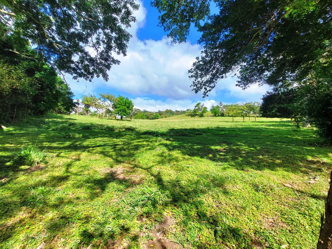 LA CABAÑA - COUNTRY ESTATE WITH HUGE POTENTIAL - Gallery image 21