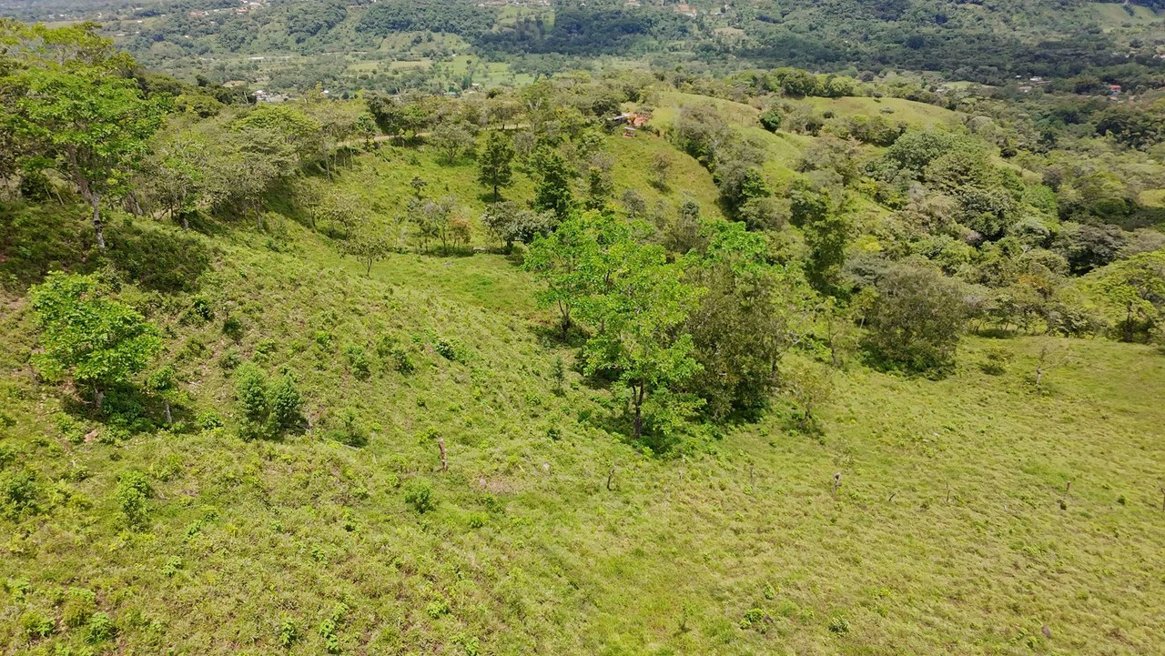 Countryside Home Construction Site For Sale in General Viejo - Gallery image 10