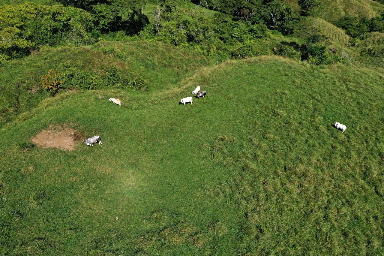 150 Acre Cattle Ranch with Panoramic Views Above the mountains of Uvita - Gallery image 19