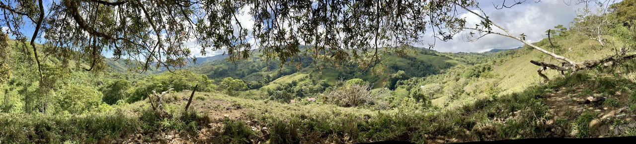 Finca Ceibo Memo: Mountain Home Construction Site For Sale in San Isidro del General - Gallery image 36