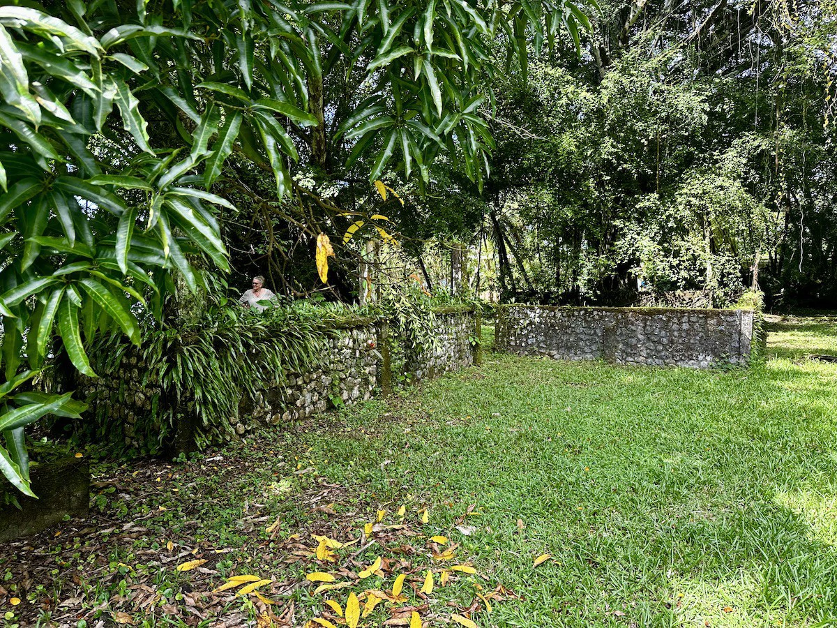 Titled Waterfront Property Golfito Bay - Gallery image 16