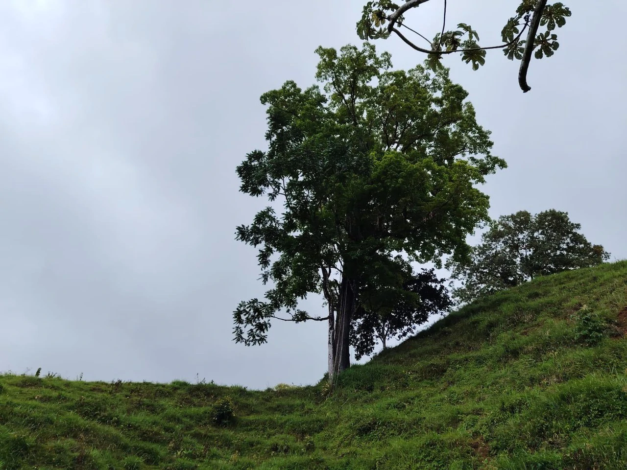 Se vende 39ha en Barú, Perez Zeledón: Mountain Home Construction Site For Sale in Barú - Gallery image 7