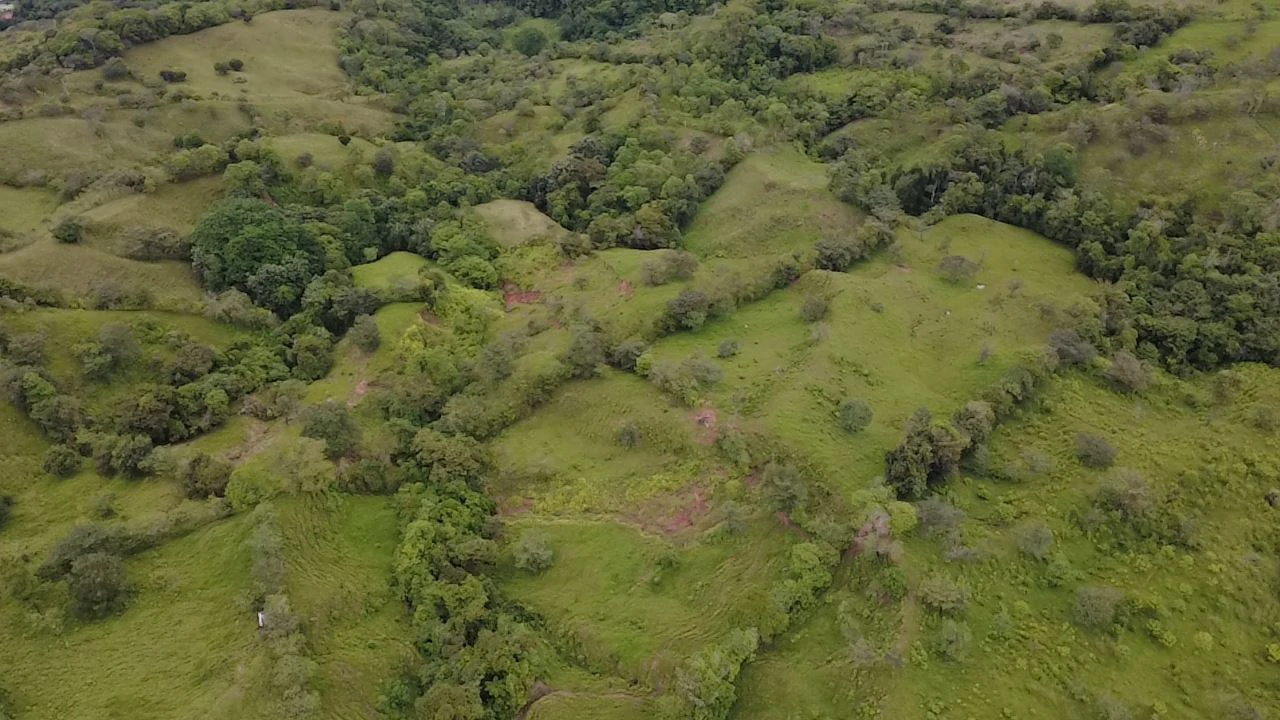 Countryside Home Construction Site For Sale in General Viejo - Gallery image 15