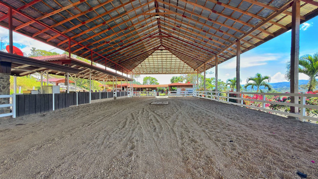 Agricultural Land For Sale in Daniel Flores - Gallery image 13