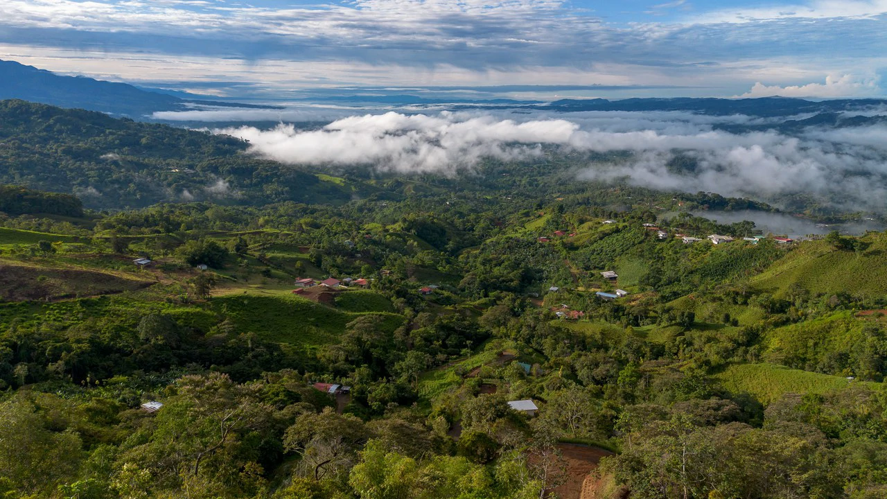 10.21 Acres with Views & Plantels – Pérez Zeledón - Gallery image 34
