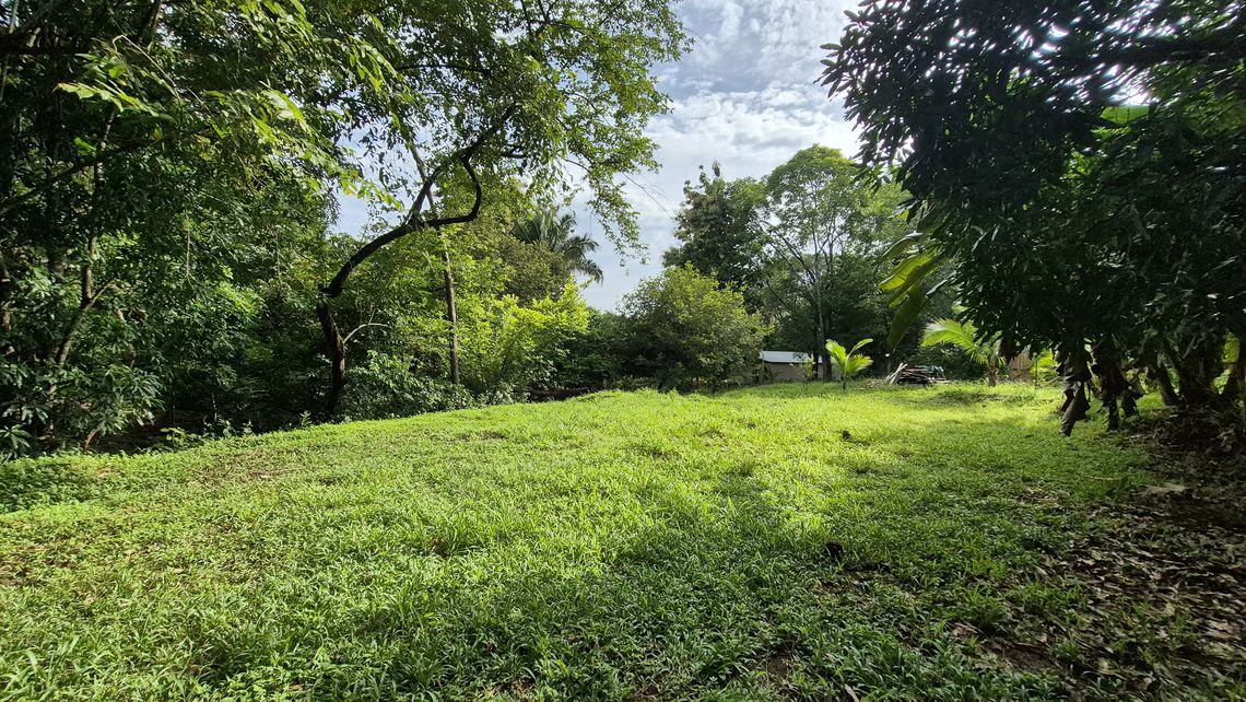LOTE SERENIDAD: Beautiful 3,554 m² (0.89 Acre) Lot in Peaceful Estrada, Just 10 Minutes from Carillo Beach - Gallery image 4