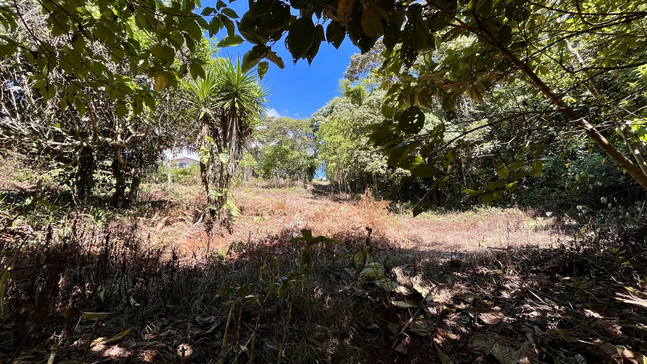 Home Construction Site For Sale in Pavones - Gallery image 17
