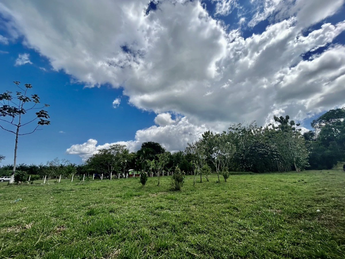 2.4 Acres Building Lot in Osa Peninsula - Gallery image 6