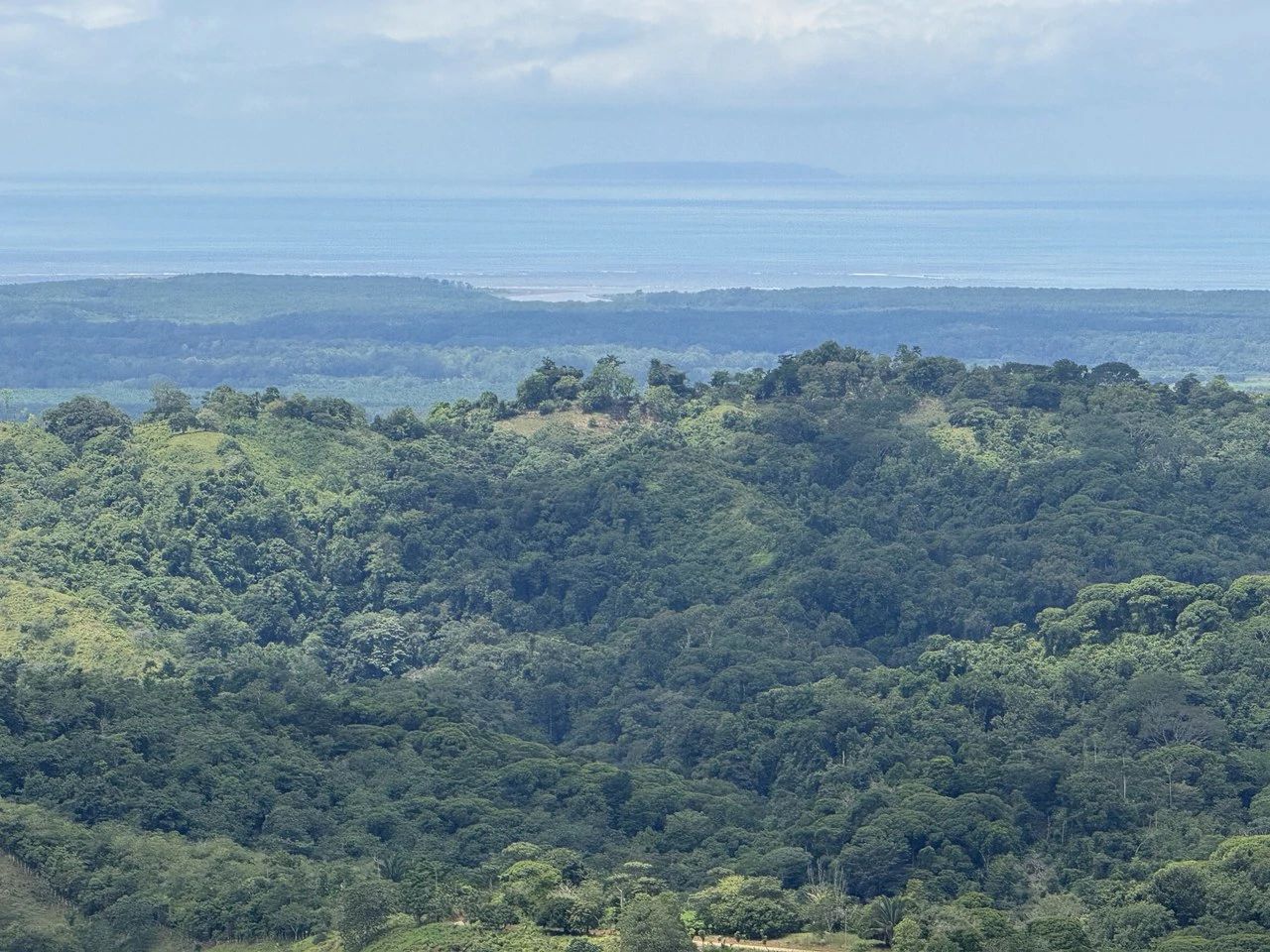 137 Acre Ocean View Farm with Riverfront in Southern Costa Rica - Gallery image 13