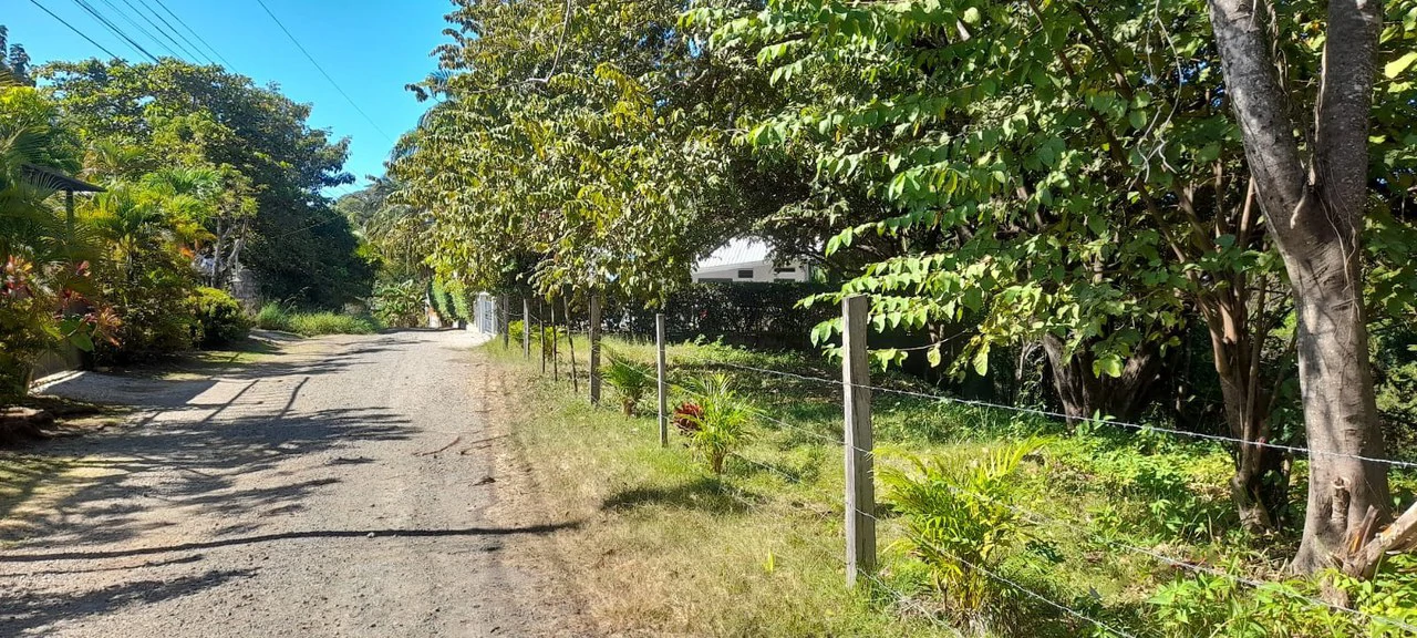 Playa Carrillo Lot: 200 meters to Playa Carrillo - Gallery image 5