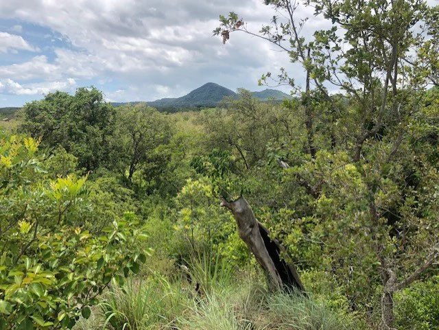 Mountain Farm for Sale in Liberia – Nature, Privacy, and High Investment Potential - Gallery image 27