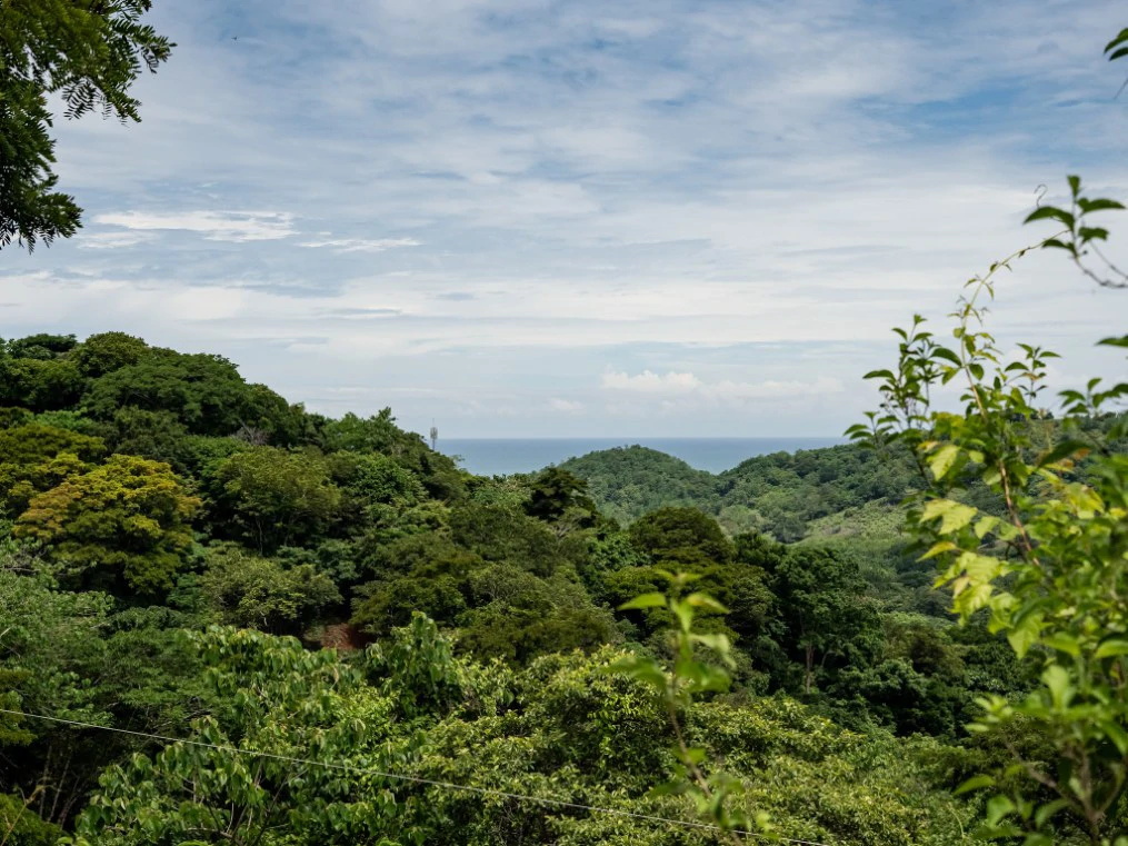 Lote Vista Lapa - 2.1 Acre Ocean View Lot: Countryside Home Construction Site For Sale in Playa Samara - Gallery image 9