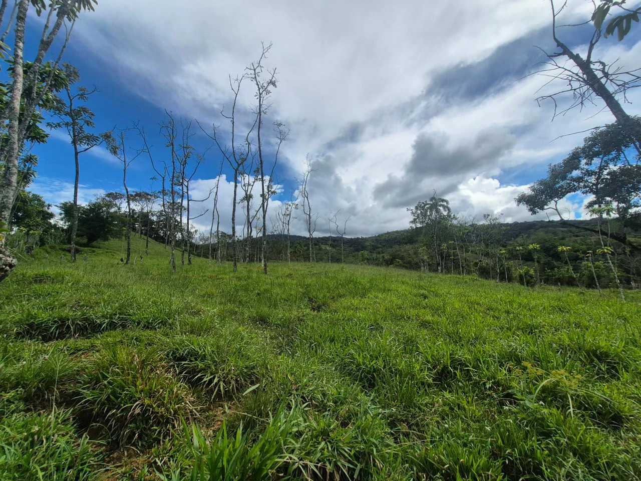 Countryside Agricultural Land For Sale in Centro de Pérez Zeledón - Gallery image 7