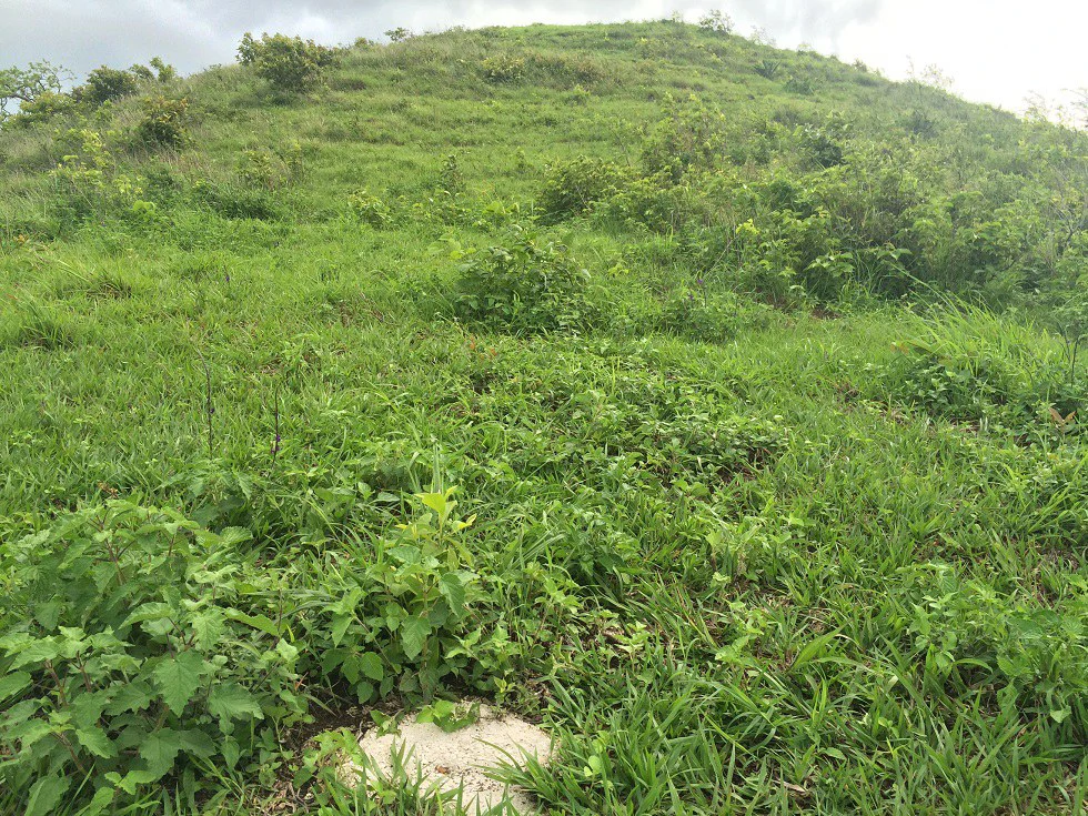 Mountain Property for Sale with charming 360º views of Guayabos Valley and the Volcanoes - Gallery image 30