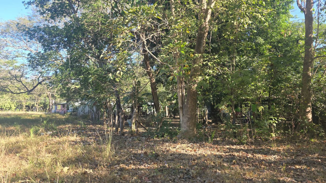 3 Commercial lots for sale in Artola with 70 m of public road frontage - Gallery image 11