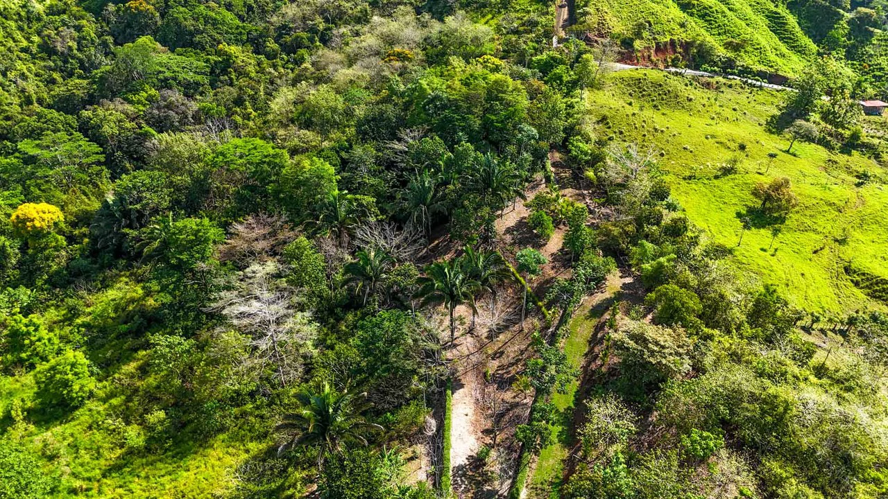 32 Acre Self Sustainable Farm with House Close Ojochal - Gallery image 2